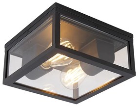 Plafoniera industriala neagra IP44 cu 2 lumini - Charlois