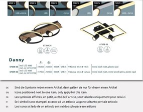 Plafoniera LED design indistrial Danny 62x32cm