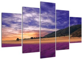 Tablou cu lunca cu lavandă (150x105 cm)