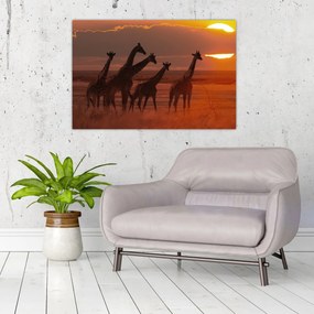 Tablou - Girafe în savana africană (90x60 cm)