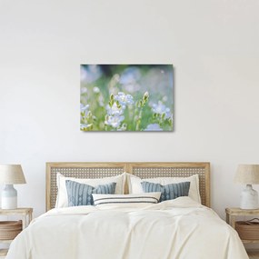 Tablou pe sticlă - Flori delicate (70x50 cm)
