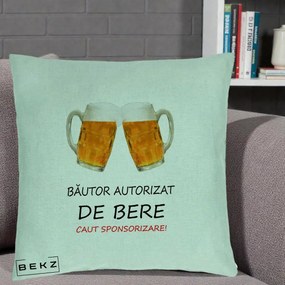 Perna Decorativa Bautor Autorizat de Bere, 40x40 cm, Verde Menta, Husa Detasabila, Perna Inclusa, BEKZ®