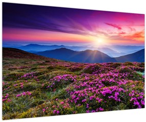 Tablou - Munte înflorit peisaj (90x60 cm)