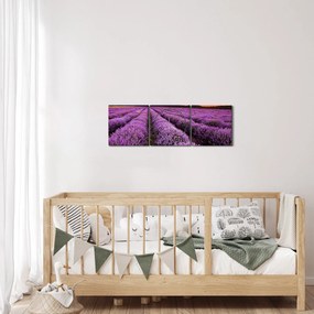 Tablou - Câmp de lavandă la apus de soare (cu ceas) (90x30 cm)