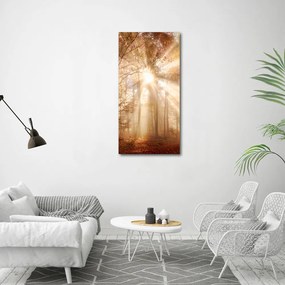 Tablou pe pânză canvas Pădure în toamna