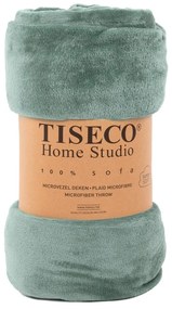 Pătură din micropluș Tiseco Home Studio, 220 x 240 cm, verde