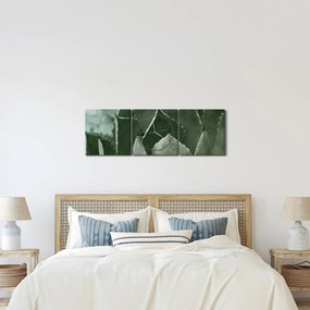 Tablou - Agave verde (cu ceas) (90x30 cm)