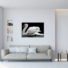 Tablou cu lebăda alb neagră (90x60 cm)