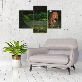 Tablou cu pui de cerb (90x60 cm)