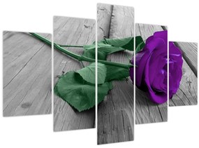 Tablou - Trandafir violet cu tulpina verde (150x105 cm)