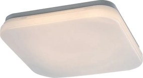 Plafoniera pentru exterior, Protectie IP44 Lowar 41cm