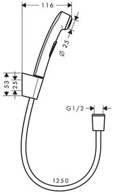 Set dus igiena intima, Hansgrohe, Bidette, un jet, suport dus Porter S, furtun Isiflex 125 cm, crom