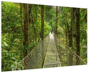 Tablou - Pod suspendat (90x60 cm)