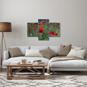 Tablou - Lunca cu maci (90x60 cm)