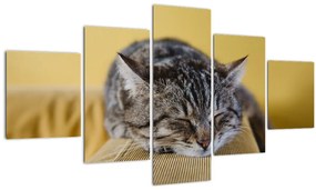 Tablou  cu pisica pe fotoliu (125x70 cm), în 40 de alte dimensiuni noi