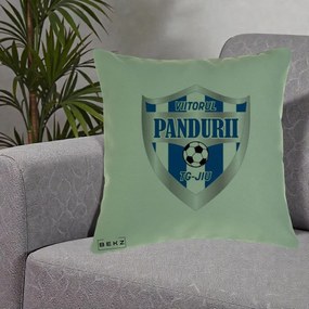 Perna Personalizata Pandurii Targu Jiu Fotbal, 40x40 cm, Verde, Husa Detasabila, Perna Inclusa, BEKZ®