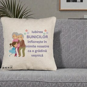Cadou pentru Bunici - Perna Personalizata Bunicii Iubirea Infloreste Bunici cu Nepoata Colorat, 40x40 cm, Bej Canapea, Husa Detasabila, Perna Inclusa, BEKZ®