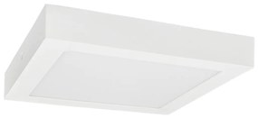 Plafonieră LED FENIX LED/24W/230V 3800K 29,8 cm alb zăpadă