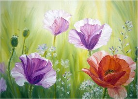 Tablou - Maci (70x50 cm)