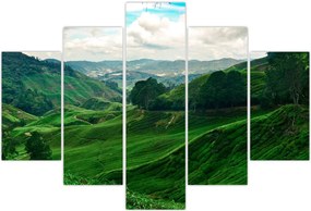 Tablou Plantații de ceai - Malaezia (150x105 cm)