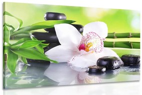 Tablou orhidee japoneză