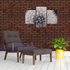Tablou cu păpădie (90x60 cm)