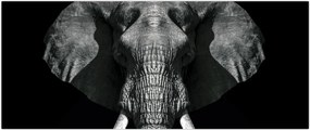 Tablou - Elefant pe fundal negru (120x50 cm)
