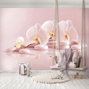 Fototapet - Relaxare în roz (254x184 cm), în 8 de alte dimensiuni noi