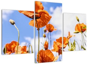 Tablou cu macii (90x60 cm)