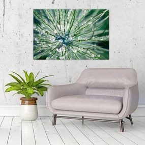 Tablou - Imagine macro a unei flori (90x60 cm)