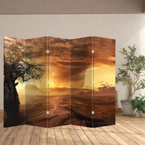 Paravan - Norii portocalii (210x170 cm)