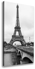 Tablou canvas Turnul Eiffel din Paris