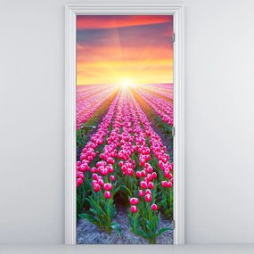 Fototapet pentru ușă - Câmp cu lalele și soare (95x205cm)