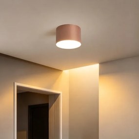 BRILAGI - Plafonieră de exterior FORIS LED/9W/230V Ø 9 cm bronz IP44