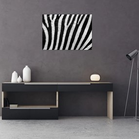 Tablou pe sticlă cu piele de zebră (70x50 cm)