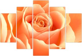 Tablou - Imaginea- Trandafiri, culoarea caisei (150x105 cm)