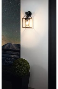 Eglo 97296 - Aplica perete exterior TRECATE 1xE27/60W/230V