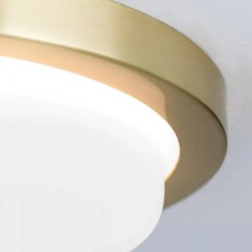 Plafoniera LED moderna LEROX 20cm alama mat