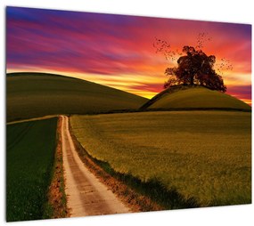 Tablou câmpului cu apus de soare (70x50 cm)
