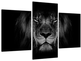 Tablou - Leu majestic (90x60 cm)