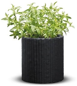 Ghiveci L CYLINDER PLANTER
