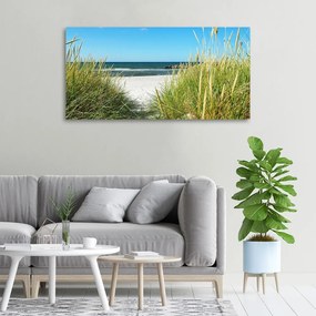 Tablou pe pânză canvas Dune de coastă