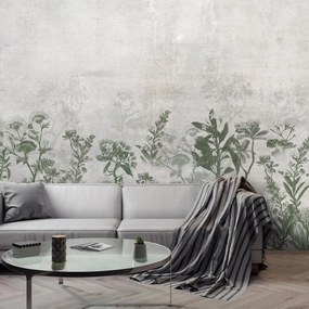 Fototapet - Plante în beton (147x102 cm)