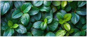 Tablou - Plante verzi (120x50 cm)