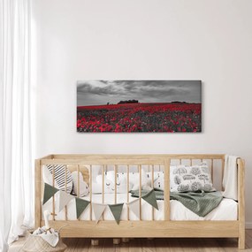 Tablou cu maci (120x50 cm)