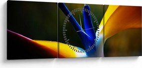 Tablou - Floare exotică (cu ceas) (90x30 cm)