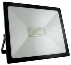 Proiector LED/50W/230V IP65