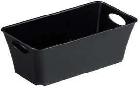 Cutie depozitare 2L, negru, Living