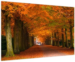 Tablou - Bulevardul de copaci în toamnă (90x60 cm)