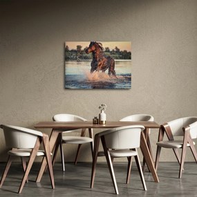 Tablou - Cal care aleargă (70x50 cm)